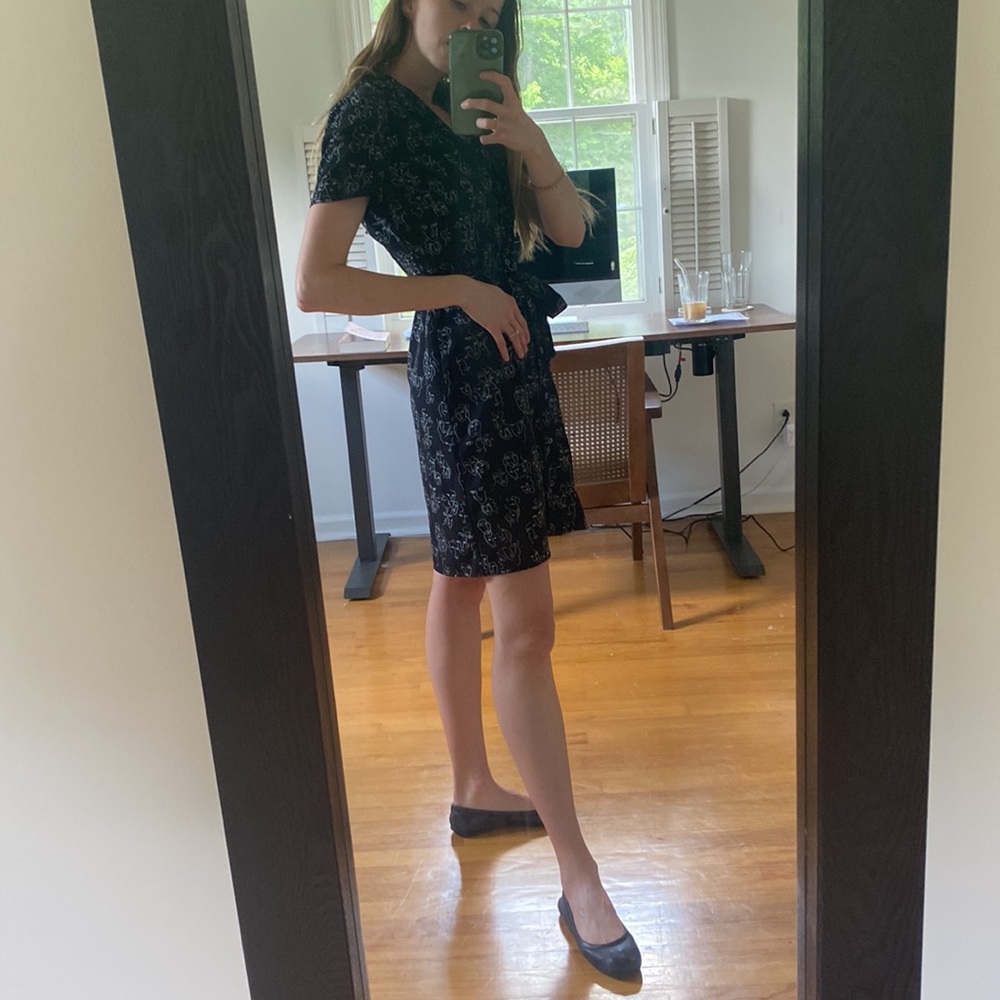Collared & Belted Picasso Dress